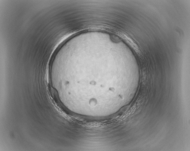 X0000115791036200912041508