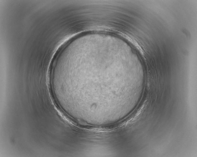 X0000115791037200912041508