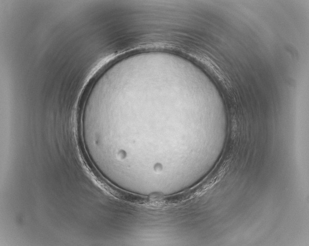 X0000115791038200912041508