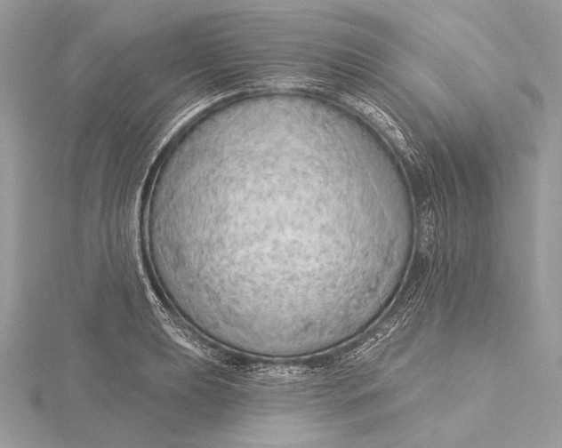 X0000115791039200912041508