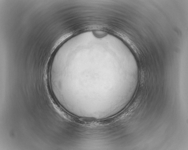 X0000115791042200912041508