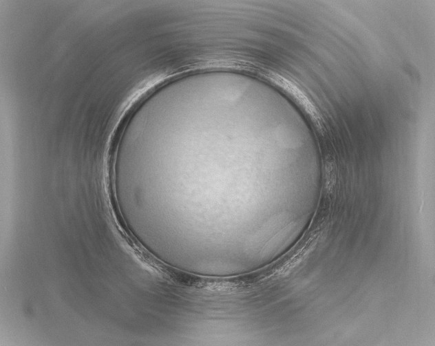 X0000115791043200912041508