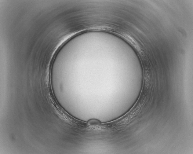 X0000115791044200912041508