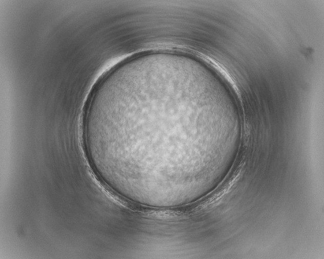 X0000115791045200912041508