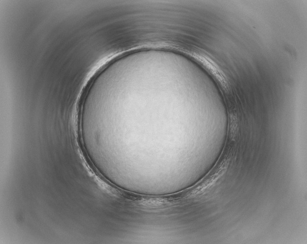 X0000115791046200912041508