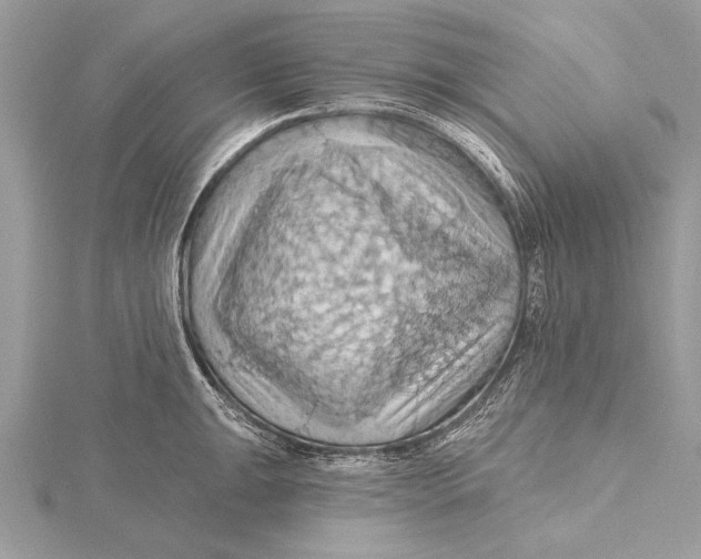 X0000115791047200912041508