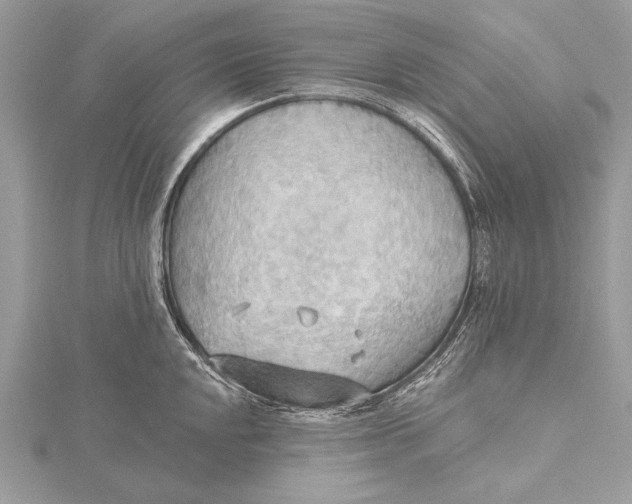 X0000115791048200912041508