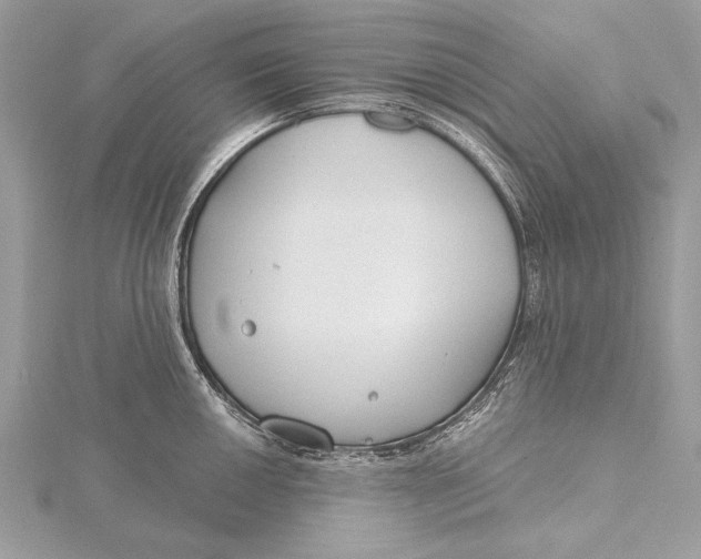 X0000115791050200912041508