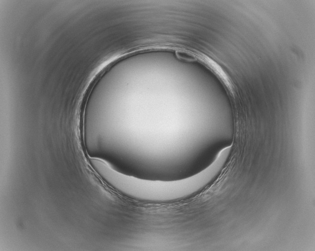 X0000115791051200912041508