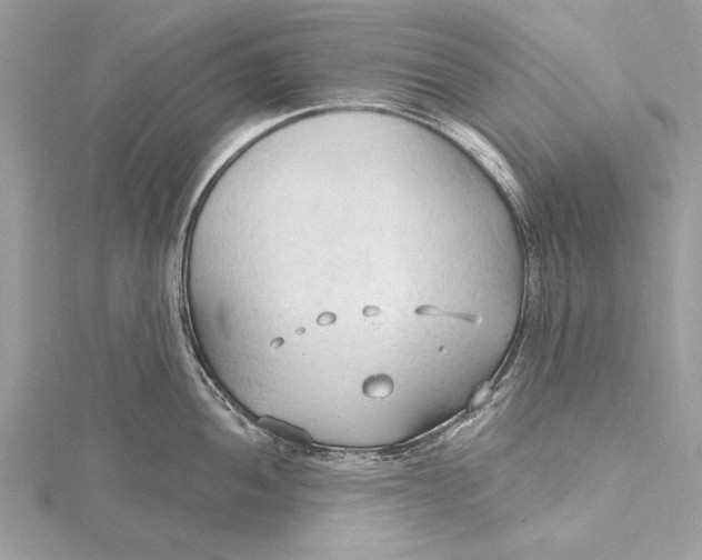 X0000115791052200912041508