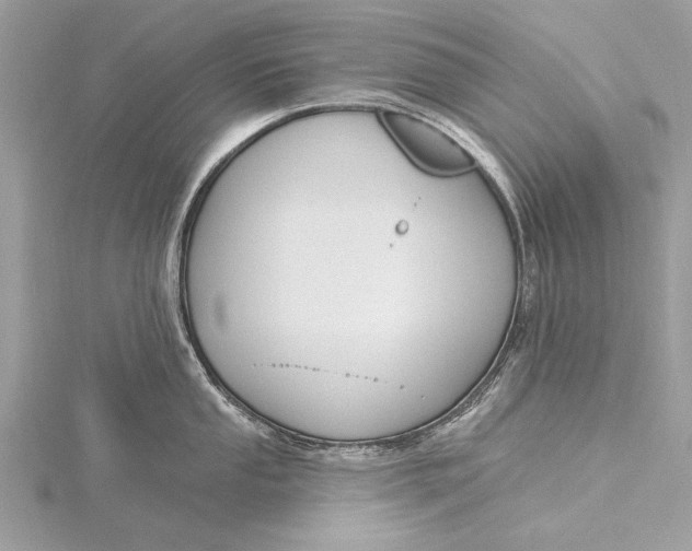 X0000115791053200912041508