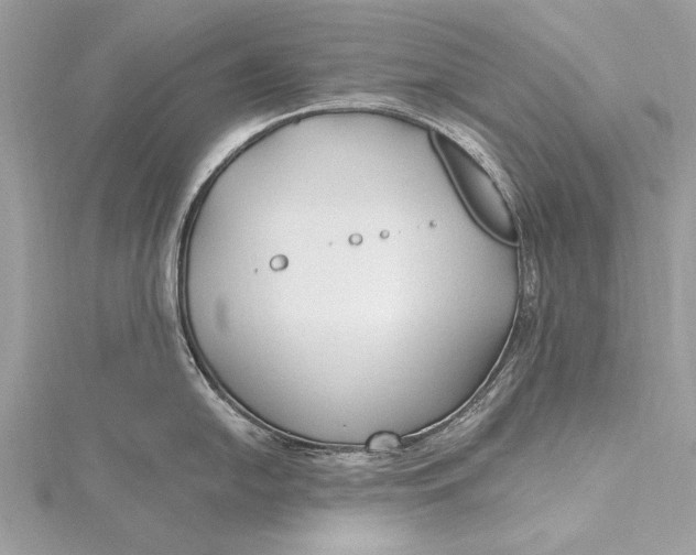 X0000115791054200912041508