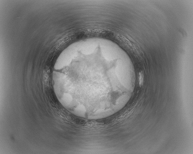 X0000115791059200912041508