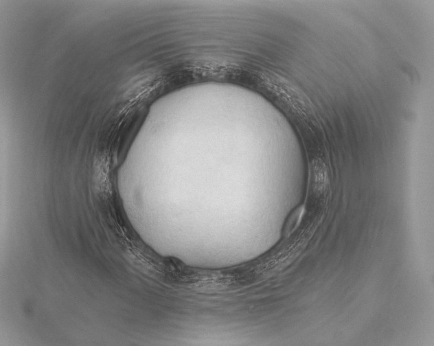 X0000115791060200912041508