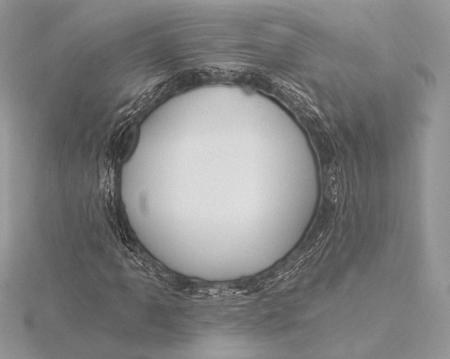 X0000115791061200912041508