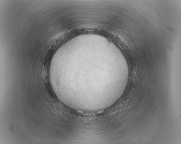 X0000115791062200912041508