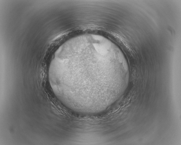 X0000115791063200912041508