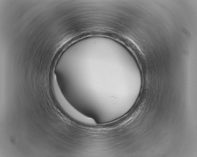 X0000115791065200912041508