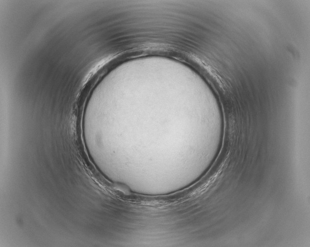 X0000115791066200912041508