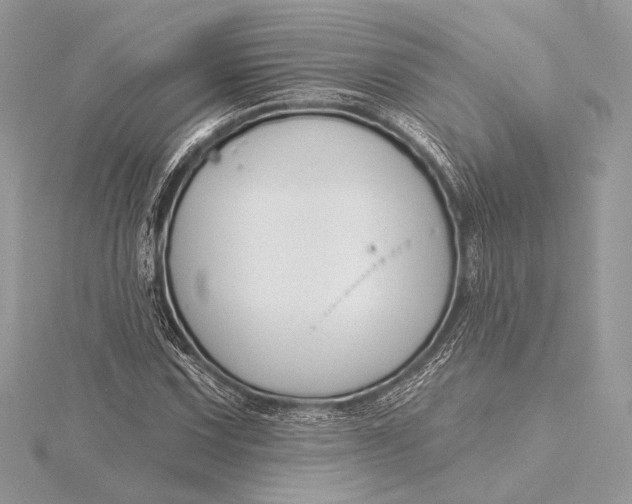 X0000115791067200912041508