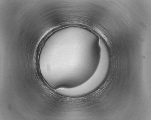 X0000115791068200912041508