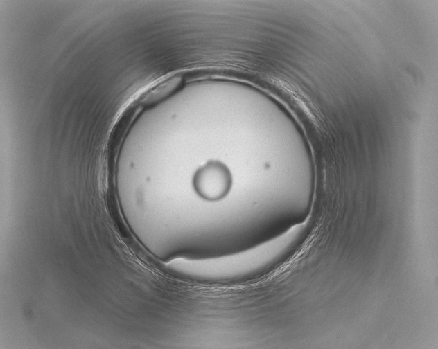 X0000115791069200912041508