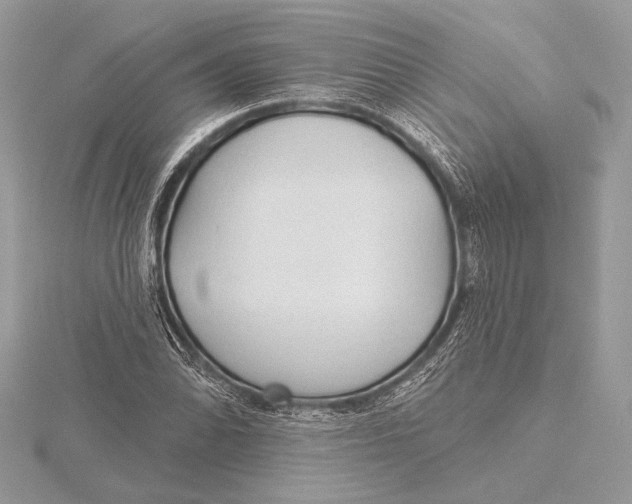 X0000115791070200912041508