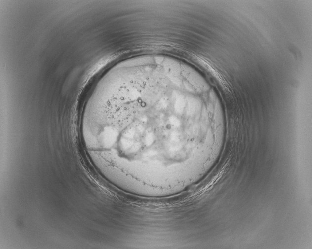 X0000115791071200912041508