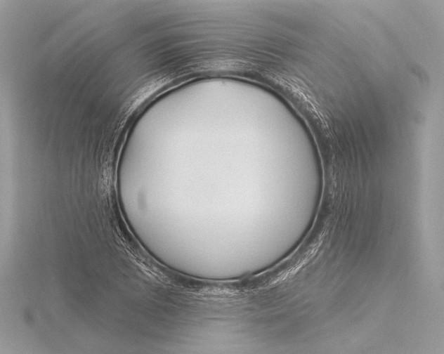 X0000115791073200912041508