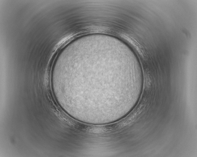 X0000115791074200912041508