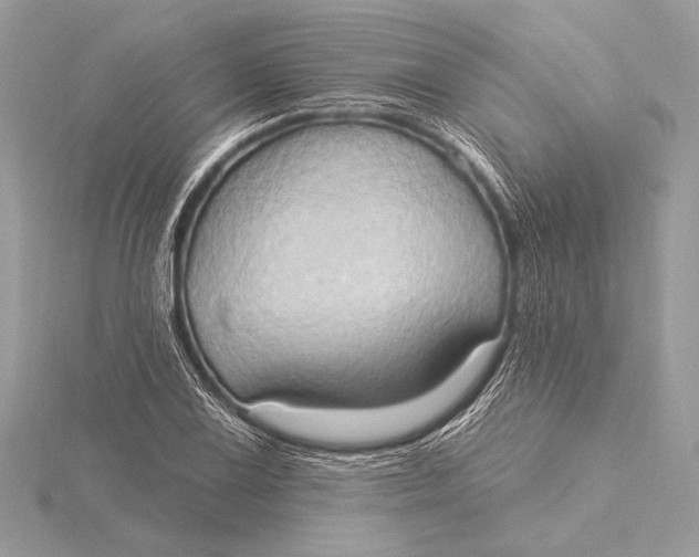 X0000115791075200912041508