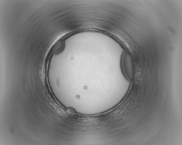 X0000115791076200912041508