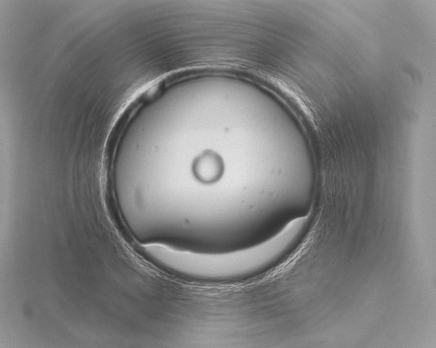 X0000115791077200912041508