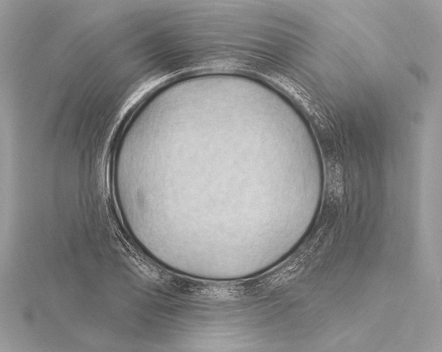 X0000115791078200912041508