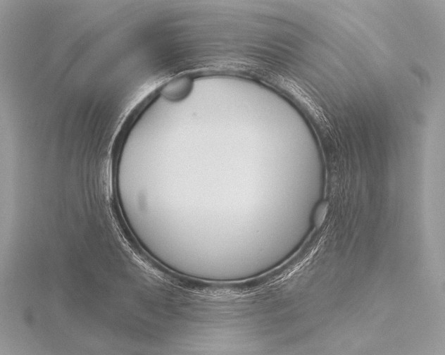 X0000115791079200912041508