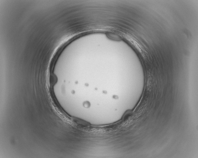 X0000115791080200912041508