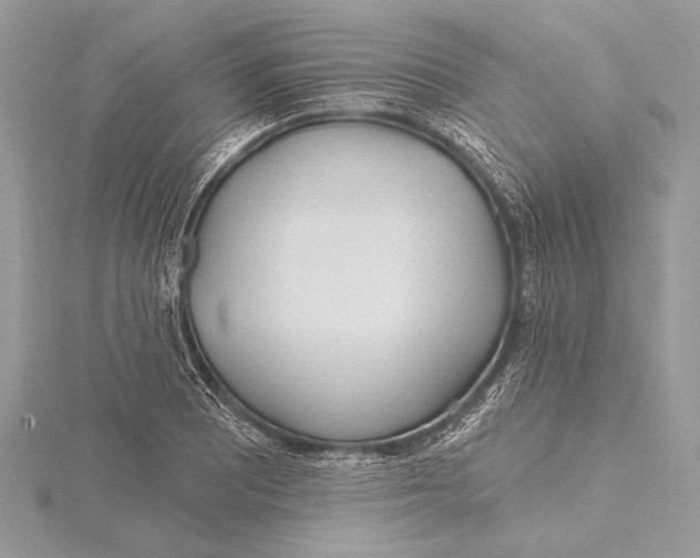 X0000115791081200912041508