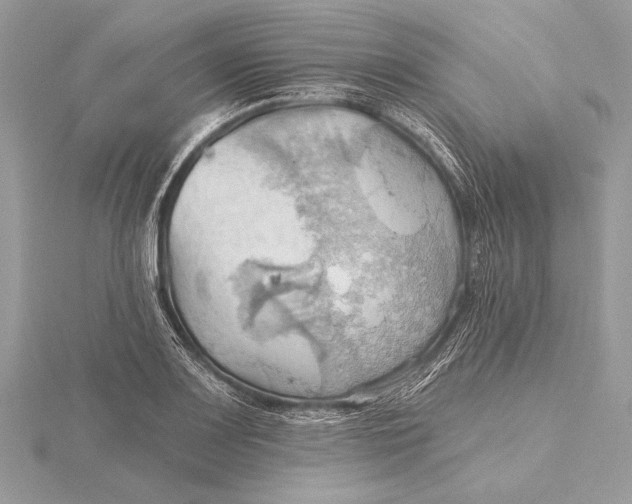 X0000115791083200912041507