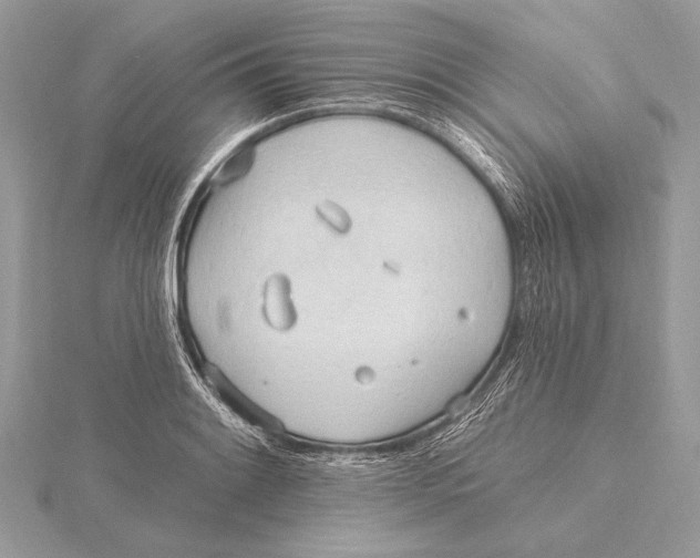 X0000115791084200912041507