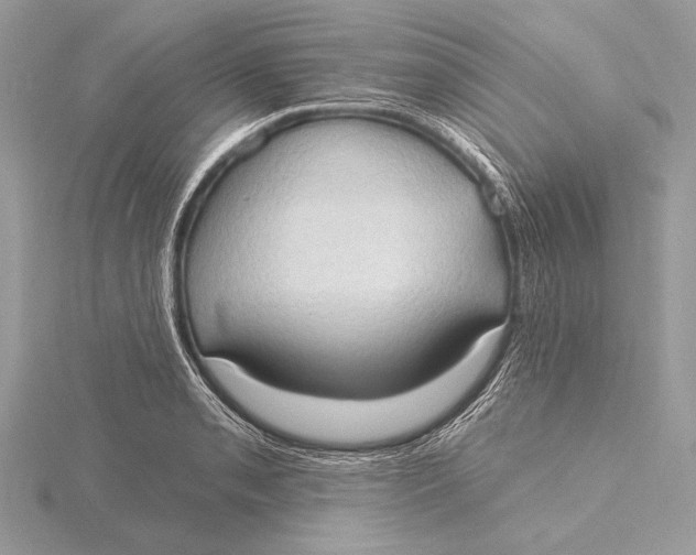 X0000115791085200912041507