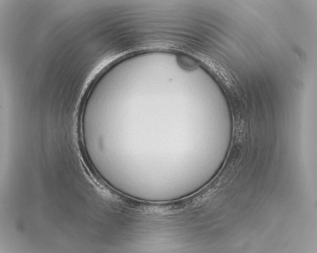 X0000115791086200912041507