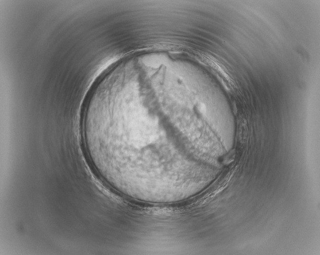 X0000115791087200912041507