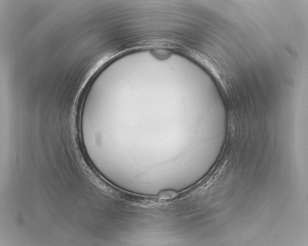 X0000115791091200912041507