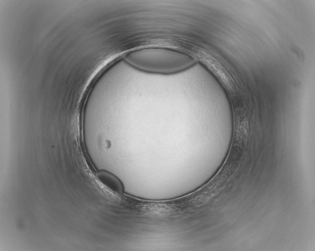 X0000115791092200912041507