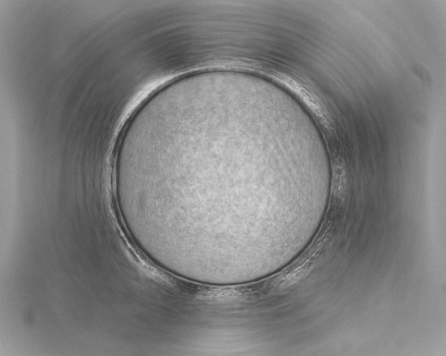 X0000115791094200912041507