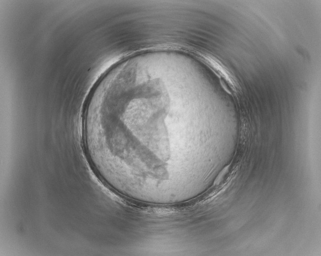 X0000115791095200912041507