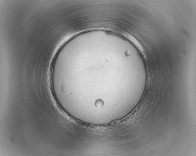 X0000115791096200912041507