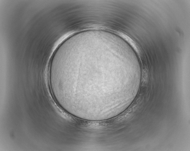 X0000115791098200912041507