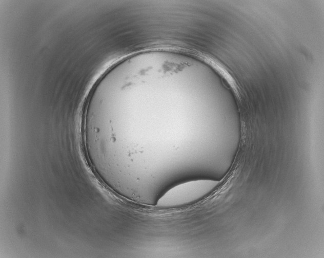 X0000115791099200912041507