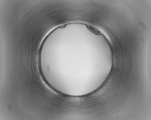 X0000115791100200912041507